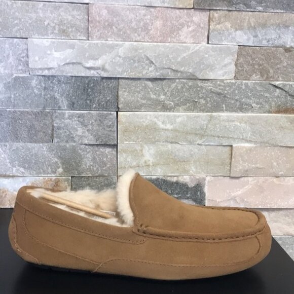 UGG Ascot Men's Slipper - Picture 2 of 4